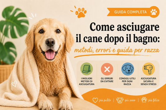 Come asciugare il cane dopo il bagno: metodi, errori e guida per razza