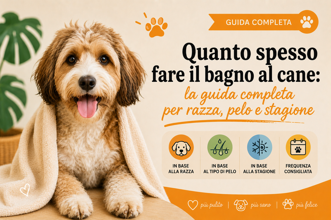 Quanto spesso fare il bagno al cane: la guida completa per razza, pelo e stagione