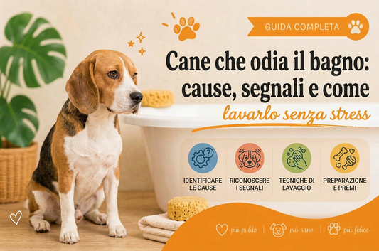Cane che odia il bagno: cause, segnali e come lavarlo senza stress