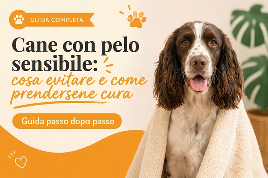 Cane con pelo sensibile: cosa evitare e come prendersene cura