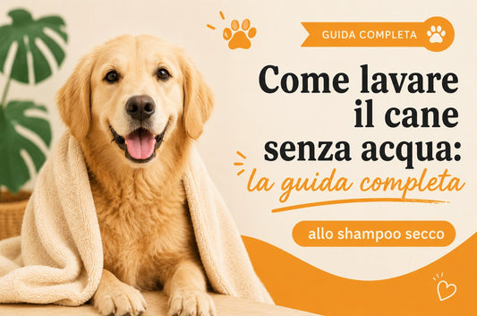Come lavare il cane senza acqua: la guida completa allo shampoo secco