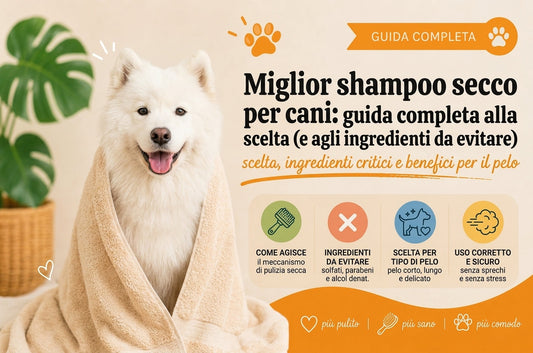 Miglior shampoo secco per cani: guida completa alla scelta (e agli ingredienti da evitare)