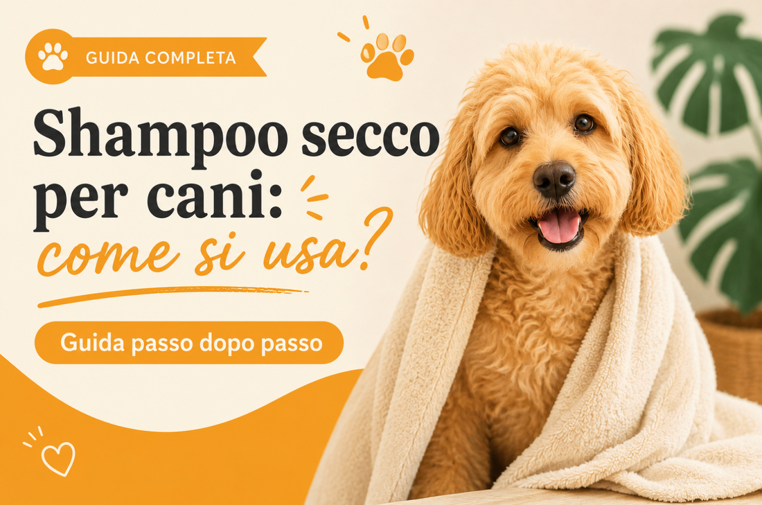 Shampoo secco per cani: come si usa? Guida passo dopo passo